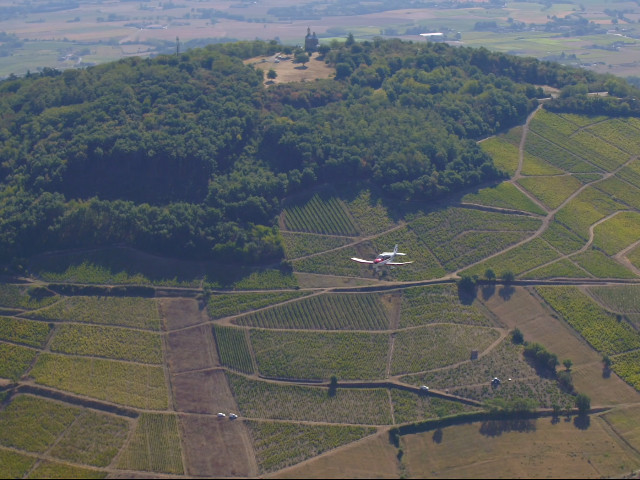 beaujolais-1